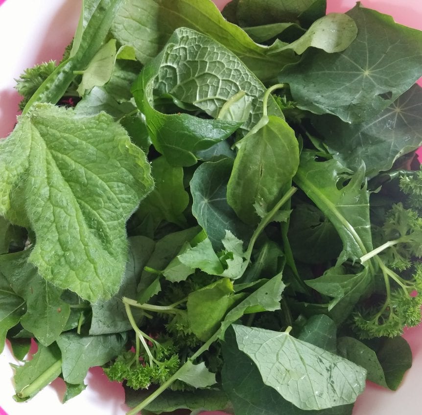 Wild Pesto