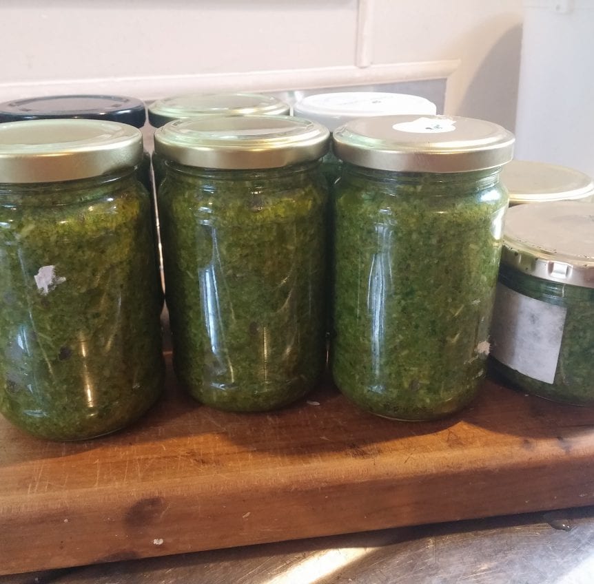 Basil Pesto